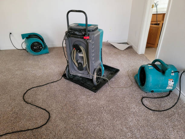 Best Flood restoration services  in Man, IL