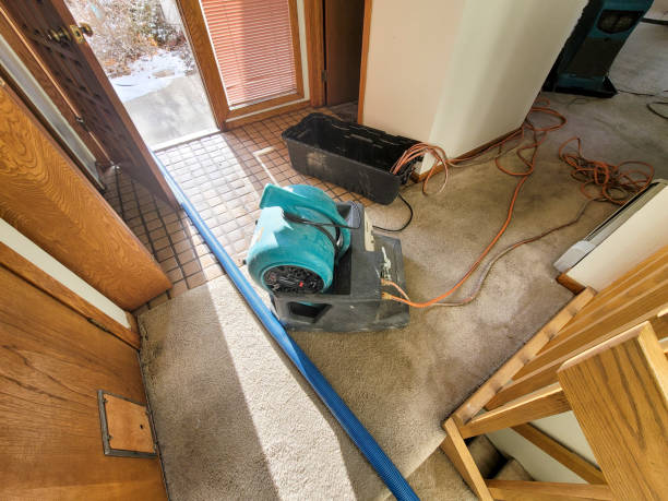 Best 24/7 water damage repair  in Man, IL